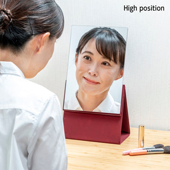 HORIUCHI MIRROR ナピュア®2WAYフォールディングミラー