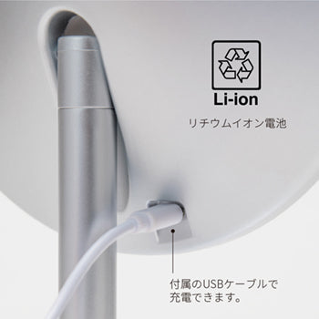 HORIUCHI MIRROR ナピュア®LEDスタンドミラー